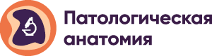 Патологическая анатомия
