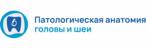 Патологическая анатомия головы и шеи