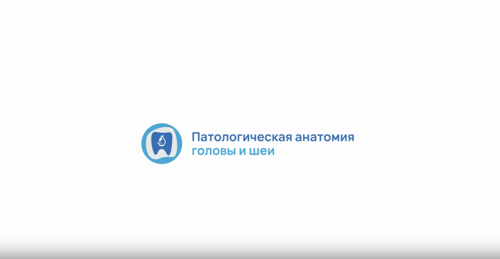 Патологическая анатомия головы и шеи